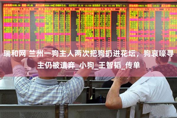 瑞和网 兰州一狗主人两次把狗扔进花坛，狗哀嚎寻主仍被遗弃_小狗_王智韬_传单
