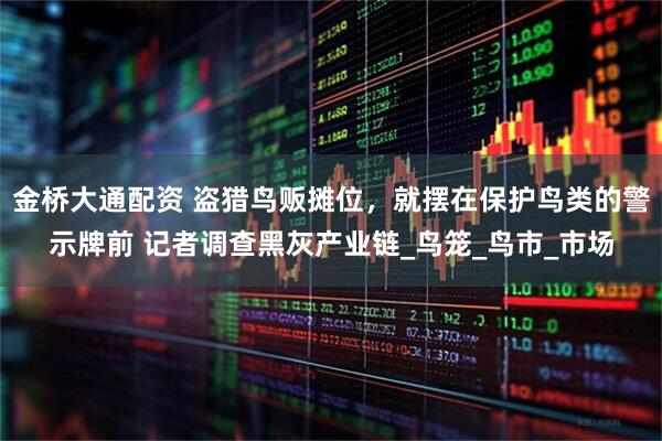 金桥大通配资 盗猎鸟贩摊位，就摆在保护鸟类的警示牌前 记者调查黑灰产业链_鸟笼_鸟市_市场