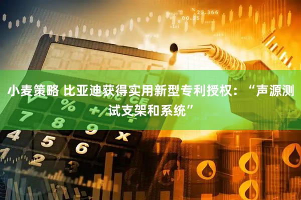 小麦策略 比亚迪获得实用新型专利授权：“声源测试支架和系统”