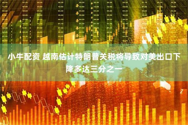 小牛配资 越南估计特朗普关税将导致对美出口下降多达三分之一
