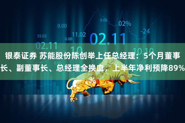 银泰证券 苏能股份陈创举上任总经理：5个月董事长、副董事长、总经理全换血，上半年净利预降89%