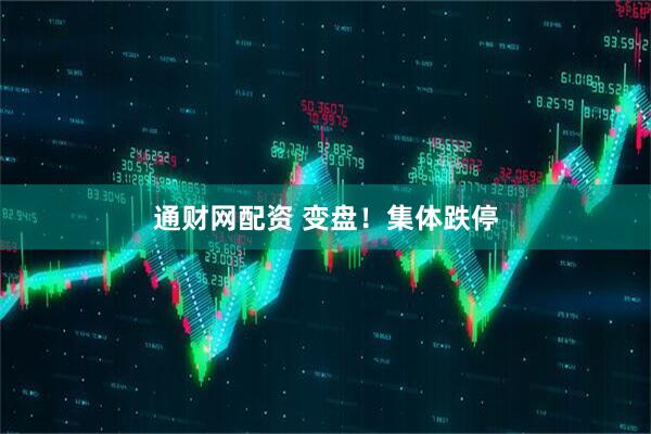 通财网配资 变盘！集体跌停
